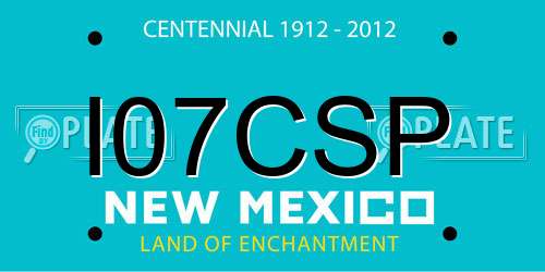 I07CSP New Mexico License Plate