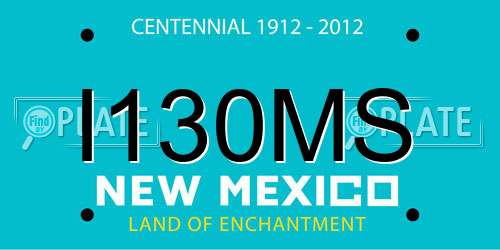 I130MS New Mexico License Plate