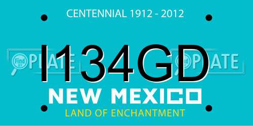 I134GD New Mexico License Plate