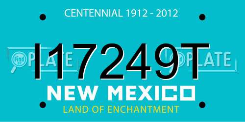 I17249T New Mexico License Plate