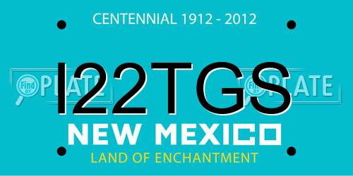 I22TGS New Mexico License Plate
