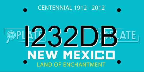 I232DB New Mexico License Plate
