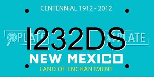 I232DS New Mexico License Plate