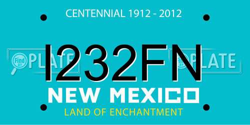 I232FN New Mexico License Plate