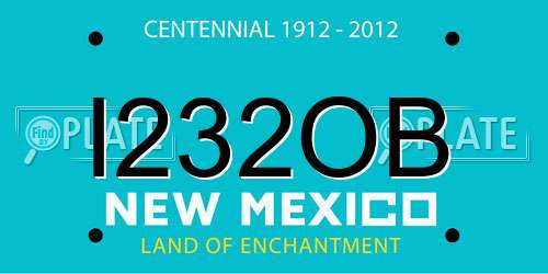 I232OB New Mexico License Plate