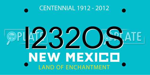 I232OS New Mexico License Plate