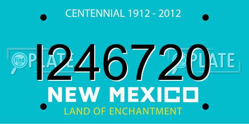 I246720 New Mexico License Plate