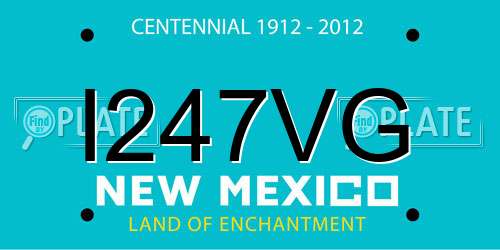 I247VG New Mexico License Plate