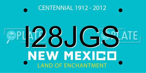 I28JGS New Mexico License Plate