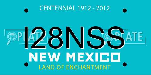 I28NSS New Mexico License Plate