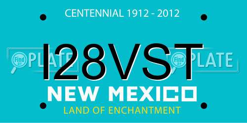 I28VST New Mexico License Plate
