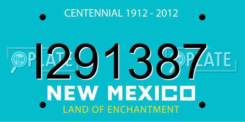 I291387 New Mexico License Plate