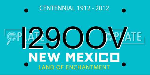 I29OOV New Mexico License Plate