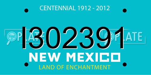 I302391 New Mexico License Plate