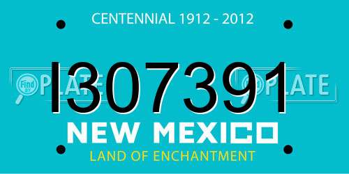 I307391 New Mexico License Plate