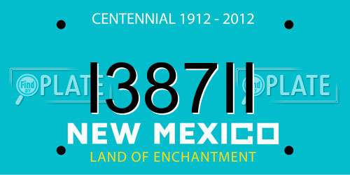 I387II New Mexico License Plate