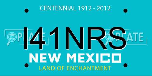 I41NRS New Mexico License Plate
