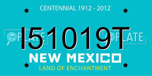 I51019T New Mexico License Plate