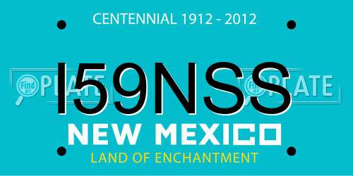 I59NSS New Mexico License Plate