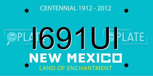 I691UI New Mexico License Plate