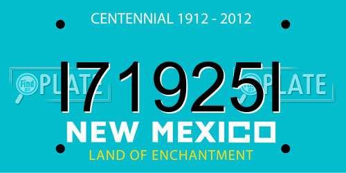I71925I New Mexico License Plate