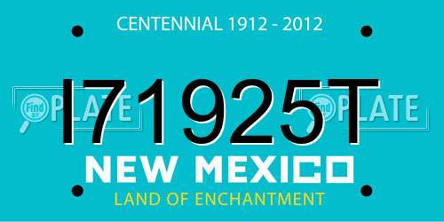 I71925T New Mexico License Plate