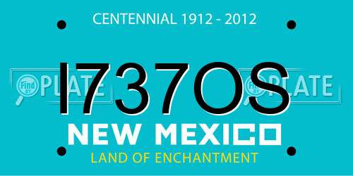 I737OS New Mexico License Plate