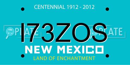 I73ZOS New Mexico License Plate