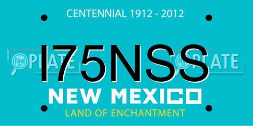 I75NSS New Mexico License Plate
