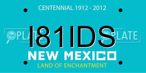 I81IDS New Mexico License Plate