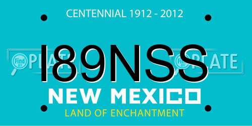 I89NSS New Mexico License Plate