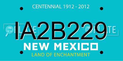 IA2B229 New Mexico License Plate