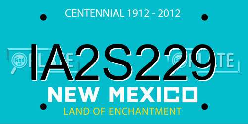IA2S229 New Mexico License Plate