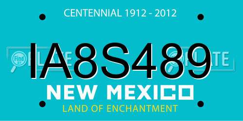 IA8S489 New Mexico License Plate