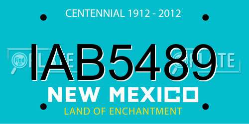 IAB5489 New Mexico License Plate