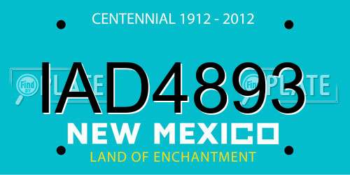 IAD4893 New Mexico License Plate
