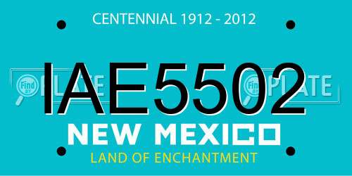 IAE5502 New Mexico License Plate