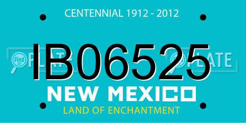 IB06525 New Mexico License Plate