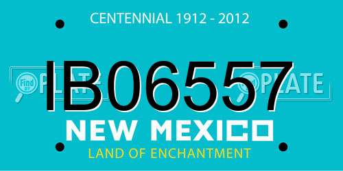 IB06557 New Mexico License Plate