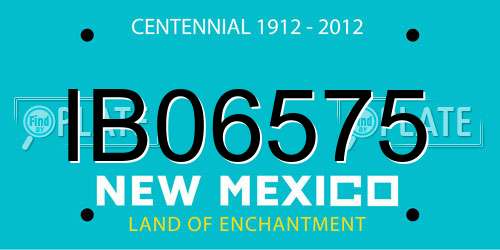 IB06575 New Mexico License Plate