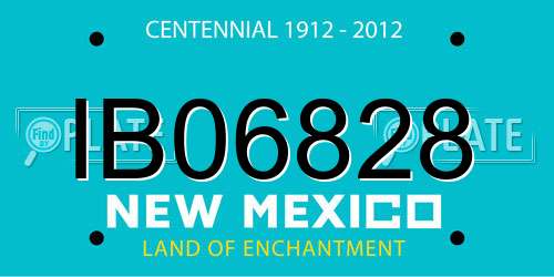IB06828 New Mexico License Plate
