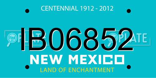 IB06852 New Mexico License Plate
