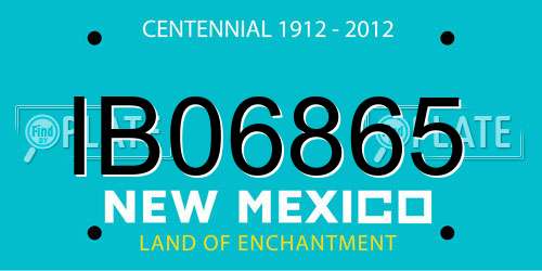IB06865 New Mexico License Plate