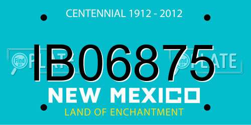 IB06875 New Mexico License Plate
