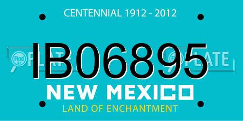 IB06895 New Mexico License Plate