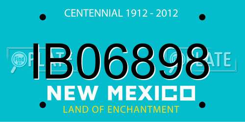 IB06898 New Mexico License Plate