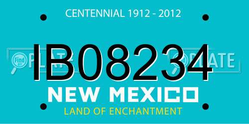 IB08234 New Mexico License Plate