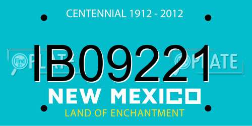 IB09221 New Mexico License Plate