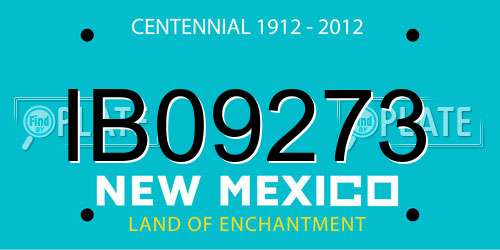 IB09273 New Mexico License Plate