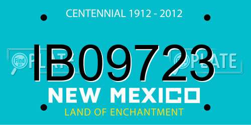 IB09723 New Mexico License Plate